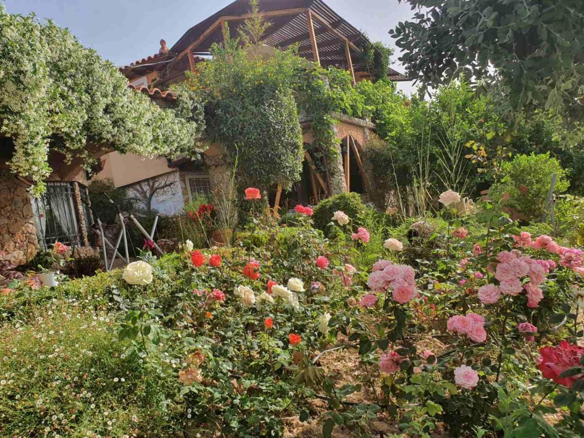 Nadia'S Traditional Greek House Anavyssos Exterior foto