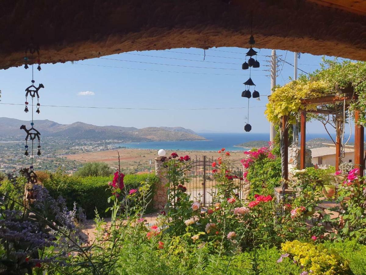 Nadia'S Traditional Greek House Anavyssos Exterior foto