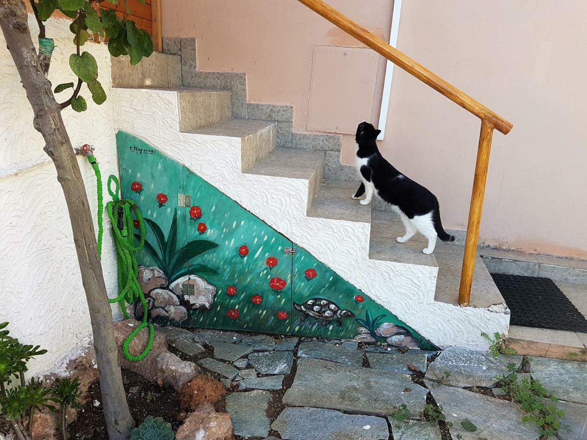 Nadia'S Traditional Greek House Anavyssos Exterior foto